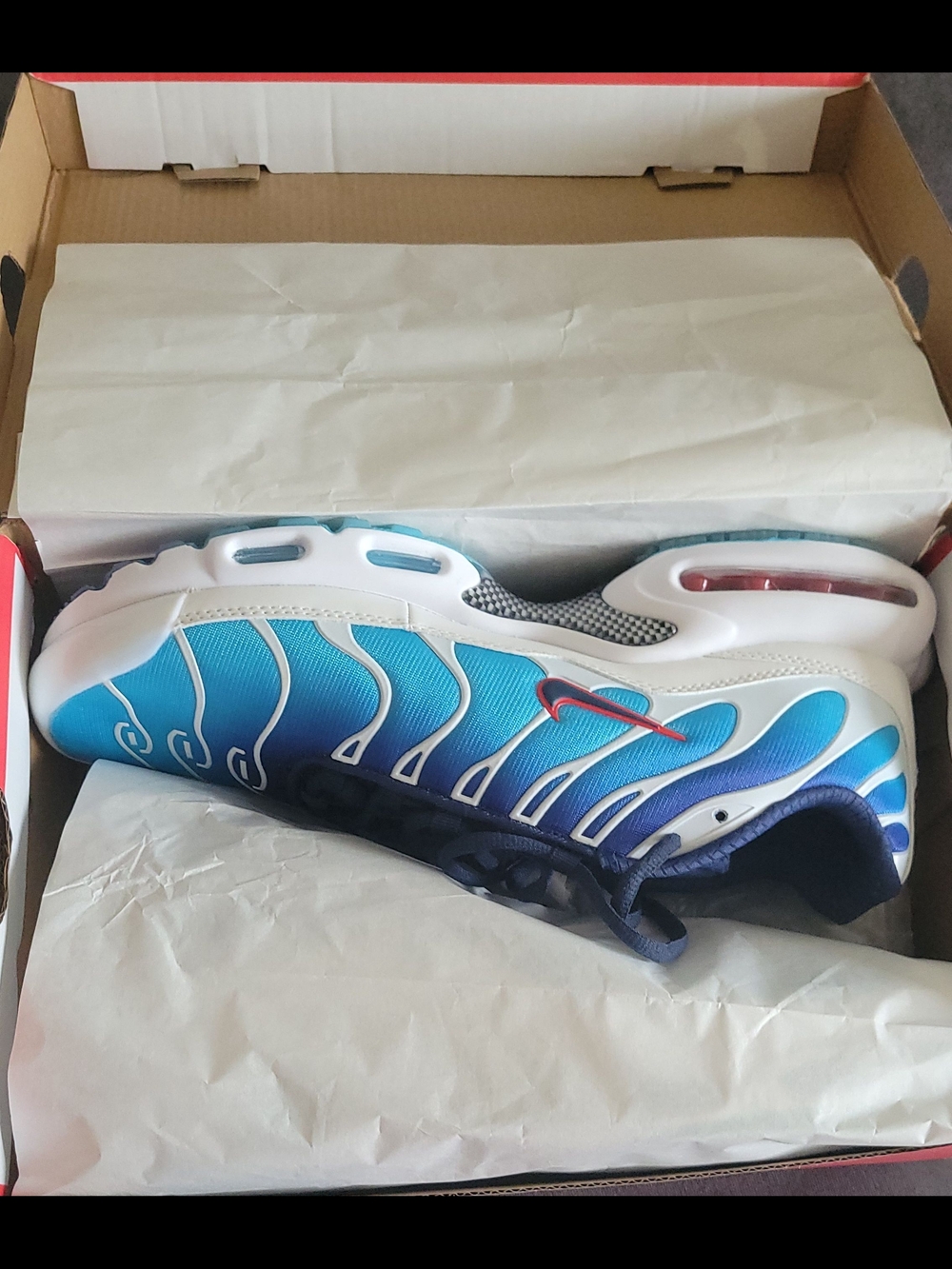 NWT Nike Air Max Plus TN Blue & White Sneaker